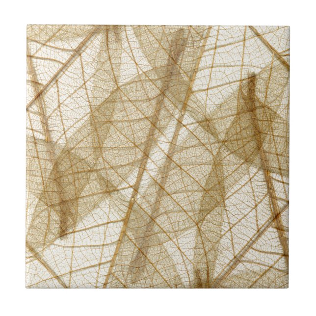 Sheer Cream Beige Lace Leaves Tile (Front)