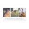 Sheer Stripe | Multi Photo Photographer