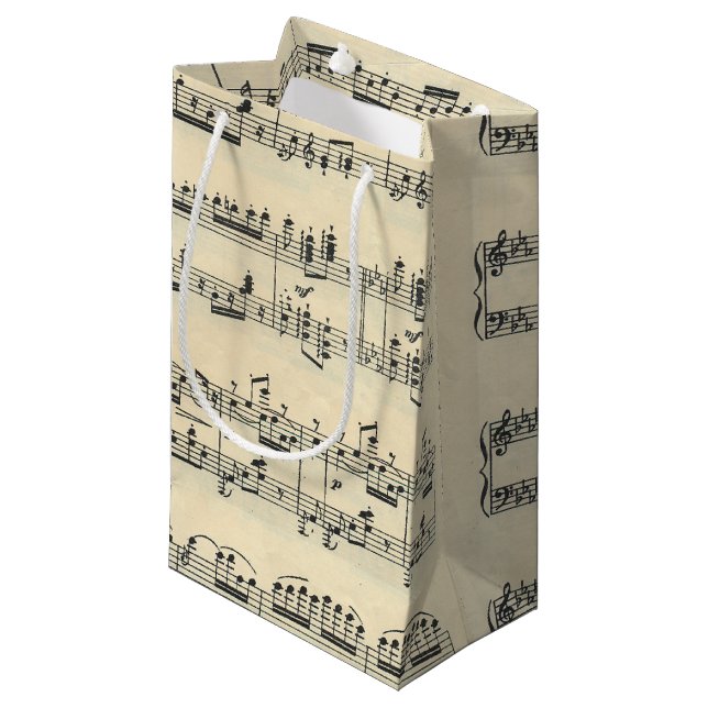Sheet Music Bag (Front Angled)