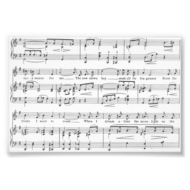 Sheet Music Black and White Pattern Photo Print (Front)