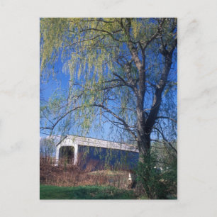 Sheffield Upper Covered Bridge Berkshires MA Postcard