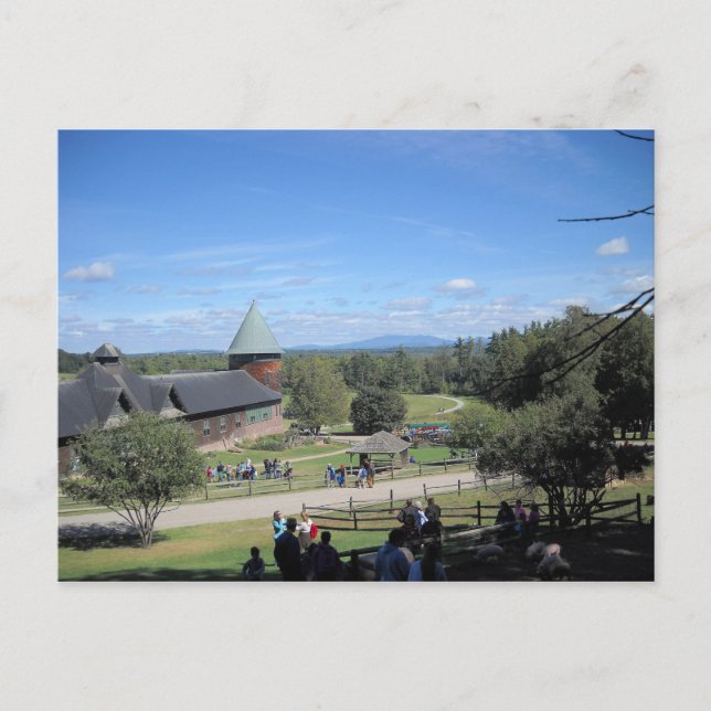 Shelbure Farms Vermont Postcard (Front)