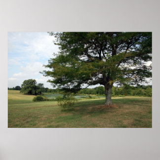 Shelby Farms Poster