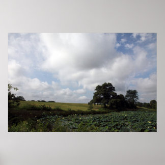 Shelby Farms Poster