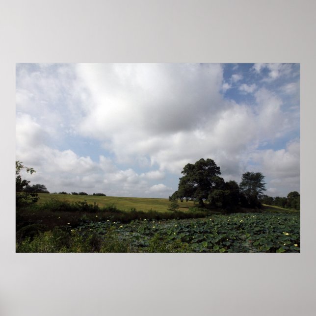 Shelby Farms Poster (Front)