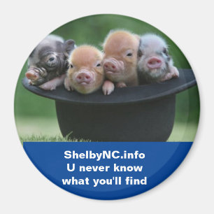 Shelby NC magnet