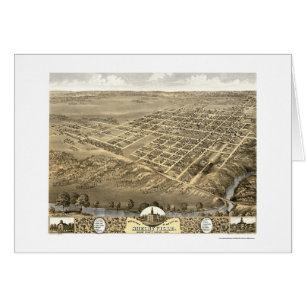 Shelbyville, carte panoramique de l'IL - 1869