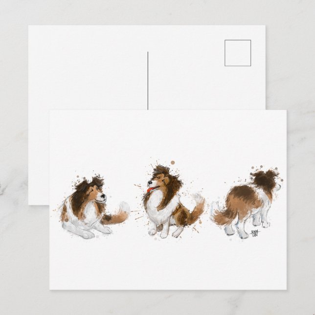 Sheldon the Sheltie Three Poses Postcard (Front/Back)