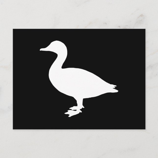 Sheldrake Duck Postcard (Front)