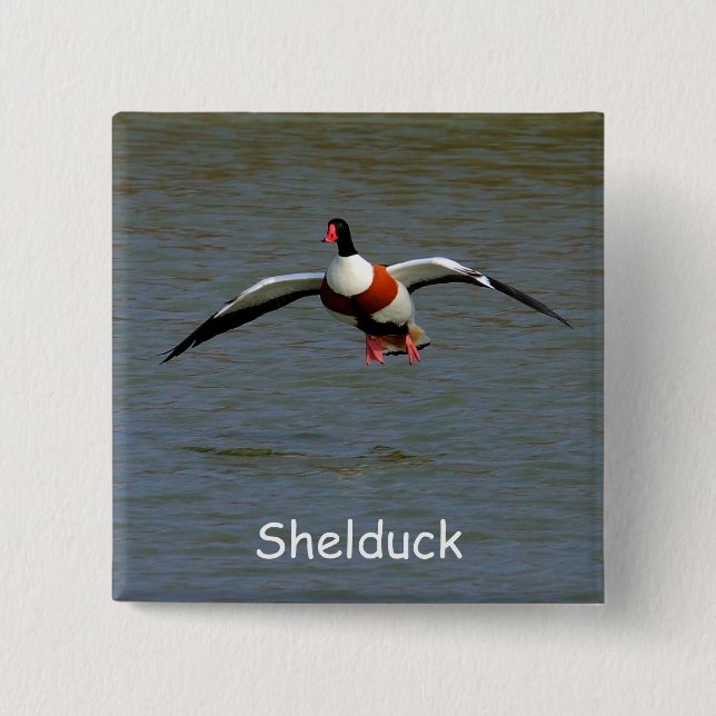 Shelduck 2 Inch Square Button (Front)
