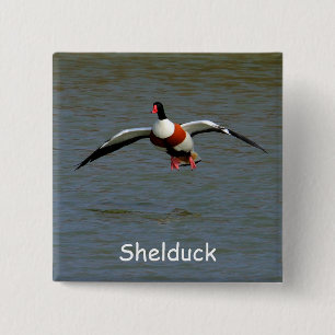 Shelduck 2 Inch Square Button