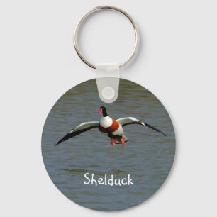 Shelduck Keychain