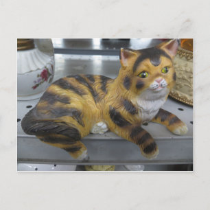 Shelf Cat Postcard