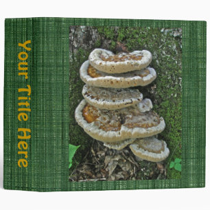 Shelf Fungi on Stump Binder