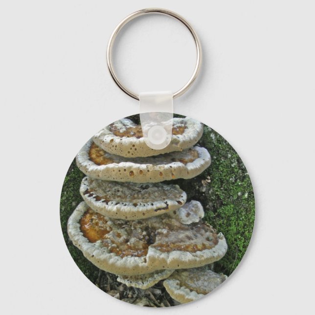 Shelf Fungi on Stump Keychain (Front)