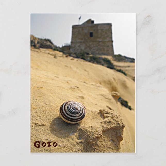 Shell and Tower, Gozo, Malta Postcard (Front)