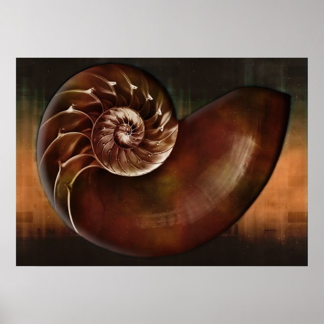 Shell Art Print (Front)