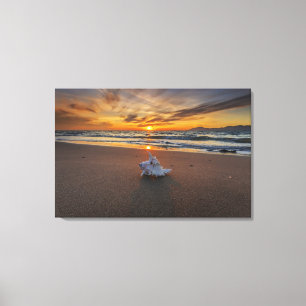 Shell At The Beach At Sunset   Kos Island Canvas Print