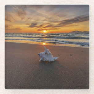 Shell At The Beach At Sunset Kos Island Glass Coaster