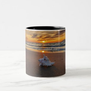 Shell At The Beach At Sunset   Kos Island Two-Tone Coffee Mug