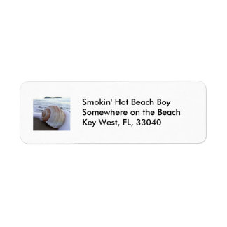 Shell, Beach