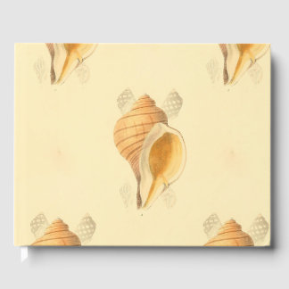 shell beach art design bright sun guest book