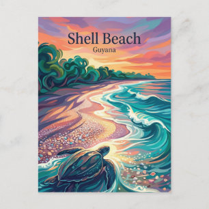 Shell Beach Guyana Postcard