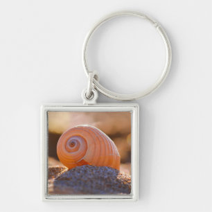 Shell Bokeh  Greece Keychain
