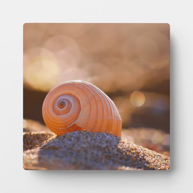 Shell Bokeh |Greece Plaque (Front)