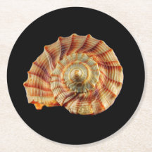 Shell coaster