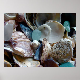Shell Collected Print