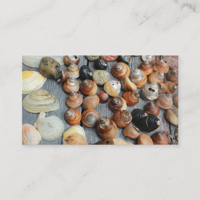 shell collection mostly golden snail shells business card (Front)