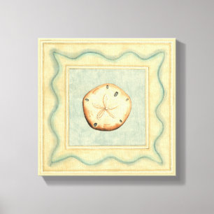 Shell Collector Canvas Print