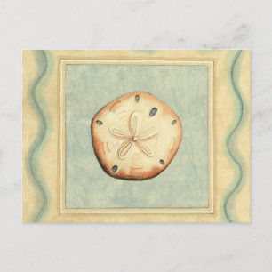 Shell Collector Postcard