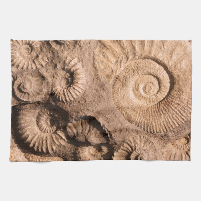 Shell Fossils Kitchen Towel (Horizontal)