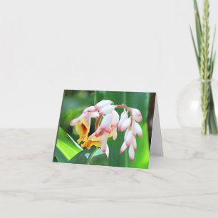 Shell Ginger Photo Folded Blank Note Card