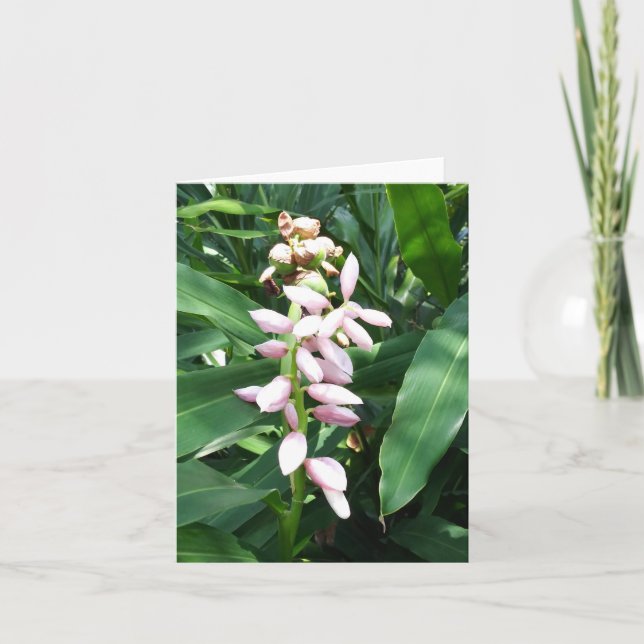 Shell Ginger Photo Folded Note Card (Front)
