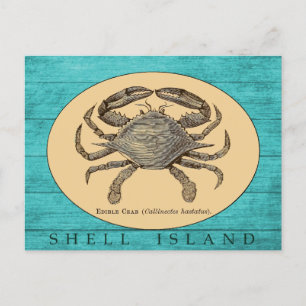 Shell Island Crab Postcard