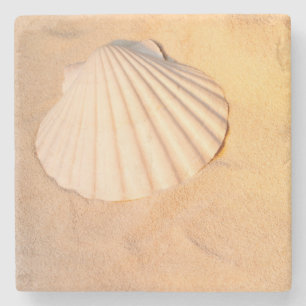 Shell Laying In Sand Stone Coaster