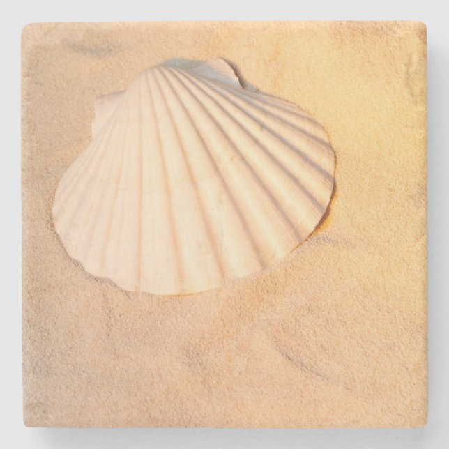 Shell Laying In Sand Stone Coaster (Front)