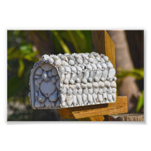Shell Mailbox, Fort Myers Beach, Florida Photo Print