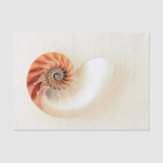 Shell Of Life Tissue Paper