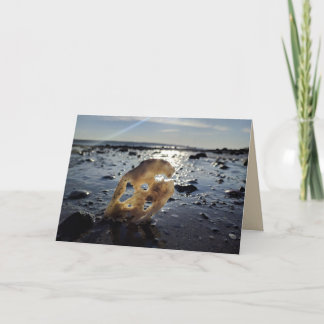 Shell on a Beach Blank Greeting Card