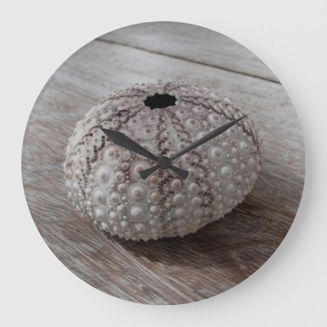 Shell On Top Of A Wooden Table Large Clock (Front)