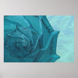 Shell Poster