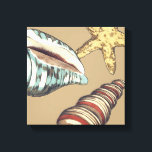Shell Trio on Khaki Canvas Print<br><div class="desc">Megan Meagher is known for her simple art pieces. This is a great image of decorative art capturing the sea life with a yellow starfish and a blue and red conch shell. Get this fine art print today on Khaki colour on your Zazzle product.</div>