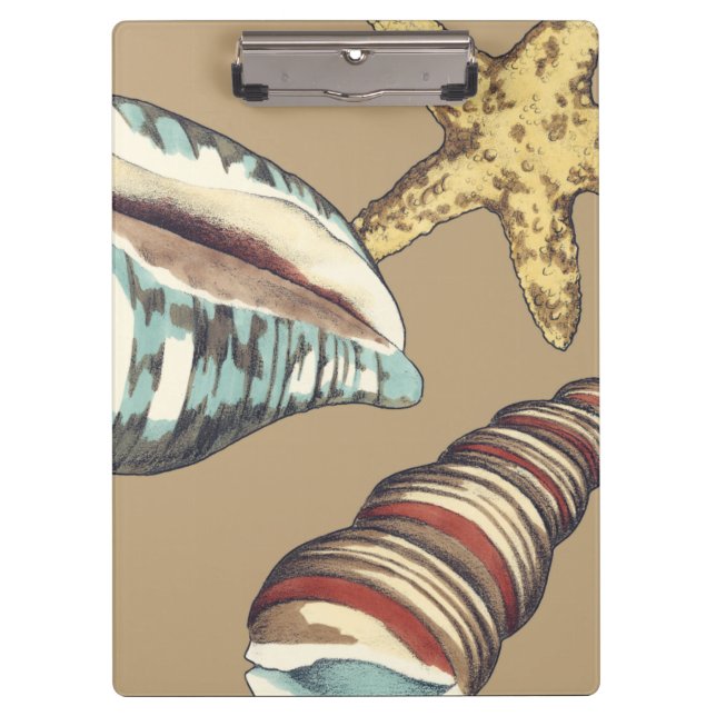 Shell Trio on Khaki Clipboard (Front)