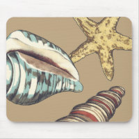 Shell Trio on Khaki