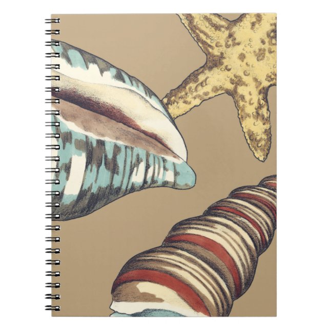 Shell Trio on Khaki Notebook (Front)