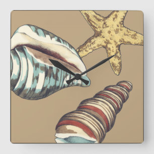 Shell Trio on Khaki Square Wall Clock